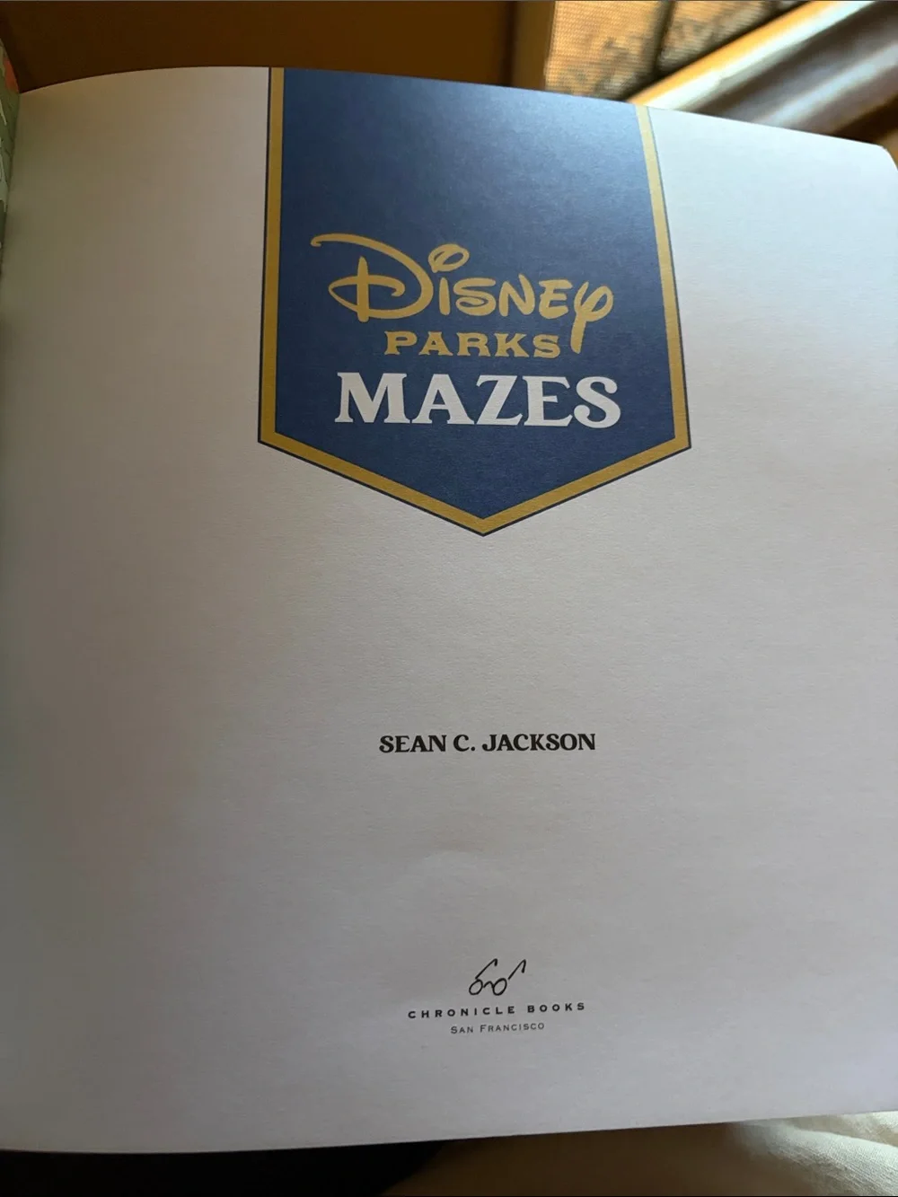 Disney Parks Mazes Activity Book - Blue, White, Green, Pink Cover